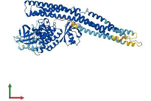 AlphaFold protein structure predicition of Human Recombinant TBK1 Protein, UniprotID Q9UHD2