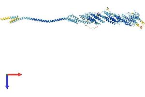 AlphaFold protein structure predicition of Human Recombinant EXOC6B Protein, UniprotID Q9Y2D4
