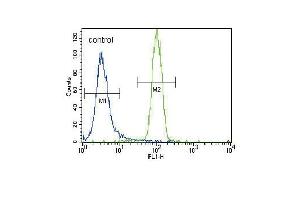 HNF4A Antibody (Center) (ABIN389269 and ABIN2839402) flow cytometric analysis of NCI- cells (right histogram) compared to a negative control cell (left histogram).