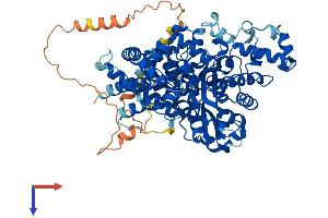 AlphaFold protein structure predicition of Mouse Recombinant Ampd1 Protein, UniprotID Q3V1D3