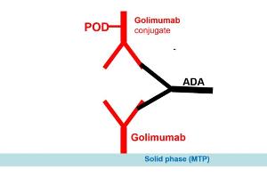 Image no. 2 for Golimumab Antibody ELISA Kit (ABIN2862664) (Golimumab Antibody Kit ELISA)