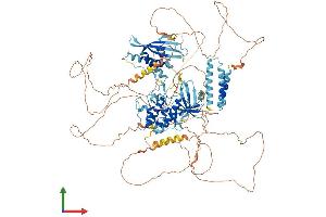 AlphaFold protein structure predicition of Mouse Recombinant Rps6kc1 Protein, UniprotID Q8BLK9