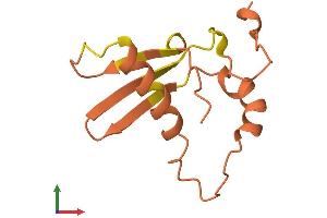AlphaFold protein structure predicition of Human Recombinant CASC2 Protein, UniprotID Q6XLA1