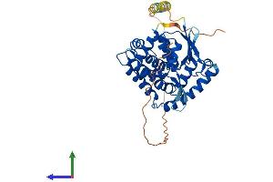 AlphaFold protein structure predicition of Mouse Recombinant Ptges2 Protein, UniprotID Q8BWM0