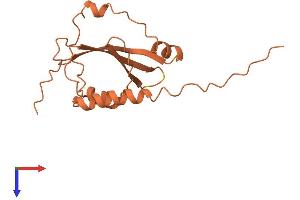 AlphaFold protein structure predicition of Human Recombinant LINC01551 Protein, UniprotID Q86U37