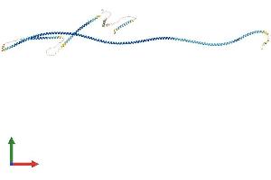 AlphaFold protein structure predicition of Human Recombinant SDCCAG8 Protein, UniprotID Q86SQ7