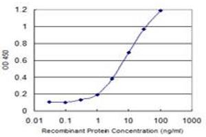 Detection limit for recombinant GST tagged RHBDL2 is 0. (RHBDL2 anticorps  (AA 1-72))