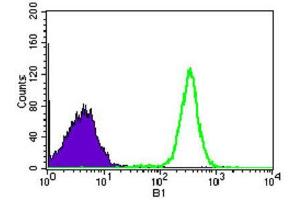 Flow Cytometry (FACS) image for anti-Wolf-Hirschhorn Syndrome Candidate 2 (WHSC2) (AA 280-511) antibody (ABIN1846367)