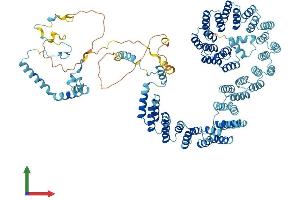 AlphaFold protein structure predicition of Mouse Recombinant Prpf6 Protein, UniprotID Q91YR7