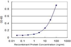 anti-Tubulin, alpha 1B (TUBA1B) (AA 1-451) antibody