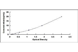 Typical standard curve
