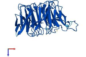 AlphaFold protein structure predicition of Mouse Recombinant Ciao1 Protein, UniprotID Q99KN2