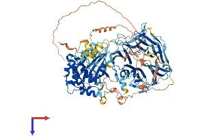 AlphaFold protein structure predicition of Human Recombinant MAP4K5 Protein, UniprotID Q9Y4K4