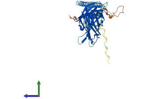 AlphaFold protein structure predicition of Human Recombinant SYT5 Protein, UniprotID O00445