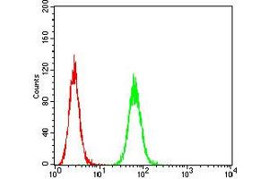 Flow cytometric analysis of Hela cells using P2RY8 mouse mAb (green) and negative control (red). (P2RY8 anticorps)