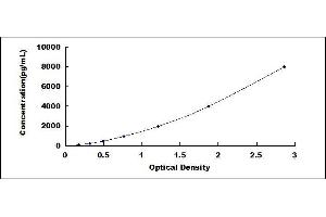 Interleukin 18 Binding Protein (IL18BP) ELISA Kit