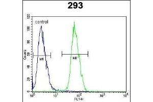 PLA2G1B Antibody (C-term) (ABIN651072 and ABIN2840059) flow cytometric analysis of 293 cells (right histogram) compared to a negative control cell (left histogram).