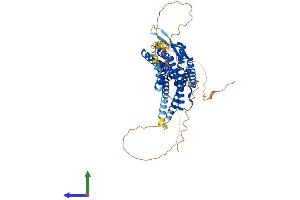 AlphaFold protein structure predicition of Human Recombinant NPFFR2 Protein, UniprotID Q9Y5X5