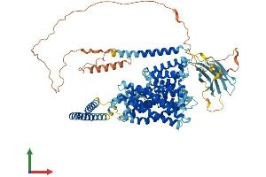 AlphaFold protein structure predicition of Human Recombinant OCA2 Protein, UniprotID Q04671