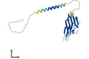 AlphaFold protein structure predicition of Mouse Recombinant Tnfsf8 Protein, UniprotID P32972