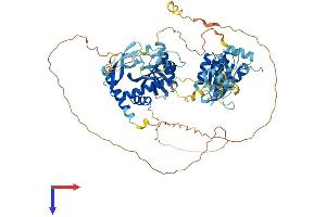 AlphaFold protein structure predicition of Human Recombinant NKRF Protein, UniprotID O15226