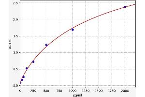 Typical standard curve (SALL4 Kit ELISA)