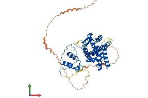 AlphaFold protein structure predicition of Human Recombinant ESRRA Protein, UniprotID P11474
