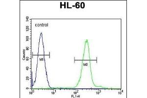 PLA2G2C Antibody (C-term) (ABIN655935 and ABIN2845327) flow cytometric analysis of HL-60 cells (right histogram) compared to a negative control cell (left histogram).