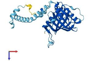 AlphaFold protein structure predicition of Mouse Recombinant Imp4 Protein, UniprotID Q8VHZ7