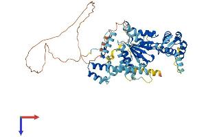 AlphaFold protein structure predicition of Human Recombinant KATNAL2 Protein, UniprotID Q8IYT4