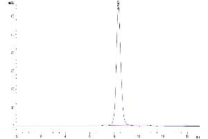 The purity of Human LILRA1 is greater than 95 % as determined by SEC-HPLC.