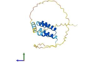 AlphaFold protein structure predicition of Human Recombinant CT45A5 Protein, UniprotID P0DMU8