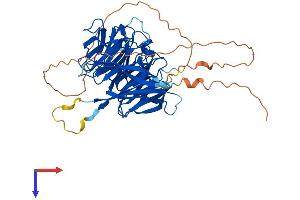 AlphaFold protein structure predicition of Mouse Recombinant Dph7 Protein, UniprotID Q9CYU6