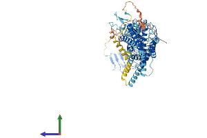 AlphaFold protein structure predicition of Mouse Recombinant Rxfp2 Protein, UniprotID Q91ZZ5