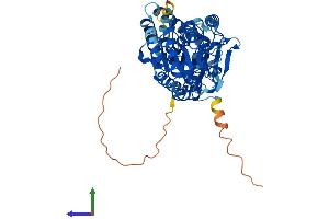 AlphaFold protein structure predicition of Human Recombinant PIGA Protein, UniprotID P37287