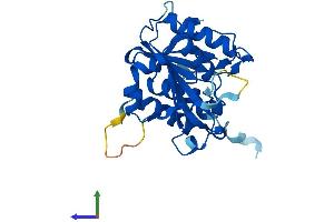 AlphaFold protein structure predicition of Mouse Recombinant Psmg2 Protein, UniprotID Q9EST4