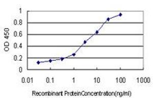 Detection limit for recombinant GST tagged HSPB7 is approximately 0.