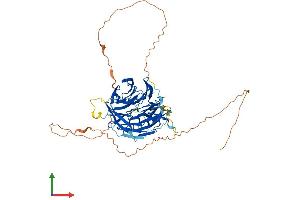 AlphaFold protein structure predicition of Human Recombinant CHAF1B Protein, UniprotID Q13112