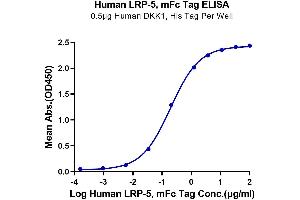 Immobilized Human DKK1, His Tag at 5 μg/mL (100 μL/well) on the plate.