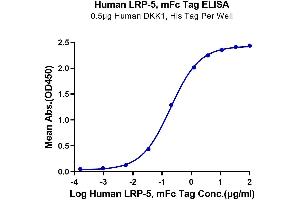 Immobilized Human DKK1, His Tag at 5 μg/mL (100 μL/well) on the plate. (LRP5 Protein (AA 644-1263) (mFc Tag))