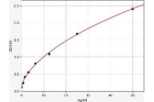 Peroxiredoxin 2 (PRDX2) ELISA Kit