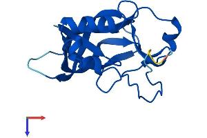 AlphaFold protein structure predicition of Mouse Recombinant Ggact Protein, UniprotID Q923B0