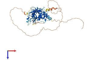 AlphaFold protein structure predicition of Mouse Recombinant Irf4 Protein, UniprotID Q64287