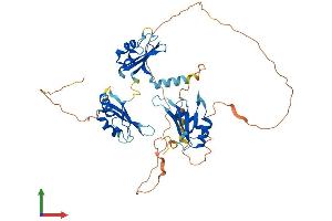 AlphaFold protein structure predicition of Human Recombinant CELF6 Protein, UniprotID Q96J87