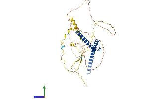 AlphaFold protein structure predicition of Mouse Recombinant Mycl Protein, UniprotID P10166