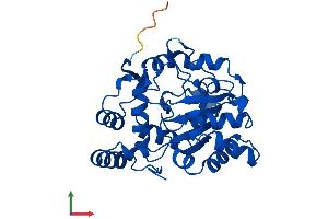 AlphaFold protein structure predicition of Human Recombinant SULT1A2 Protein, UniprotID P50226