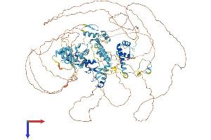 AlphaFold protein structure predicition of Mouse Recombinant Adnp Protein, UniprotID Q9Z103