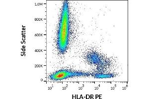 Flow cytometry surface staining pattern of human peripheral whole blood stained using anti-human HLA-DR (L243) PE antibody (10 μL reagent / 100 μL of peripheral whole blood). (HLA-DR anticorps  (PE))