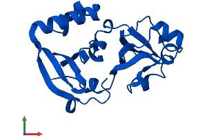AlphaFold protein structure predicition of Human Recombinant MCTS1 Protein, UniprotID Q9ULC4