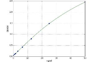 Prostate Androgen-Regulated Mucin-Like Protein 1 (PARM1) ELISA Kit